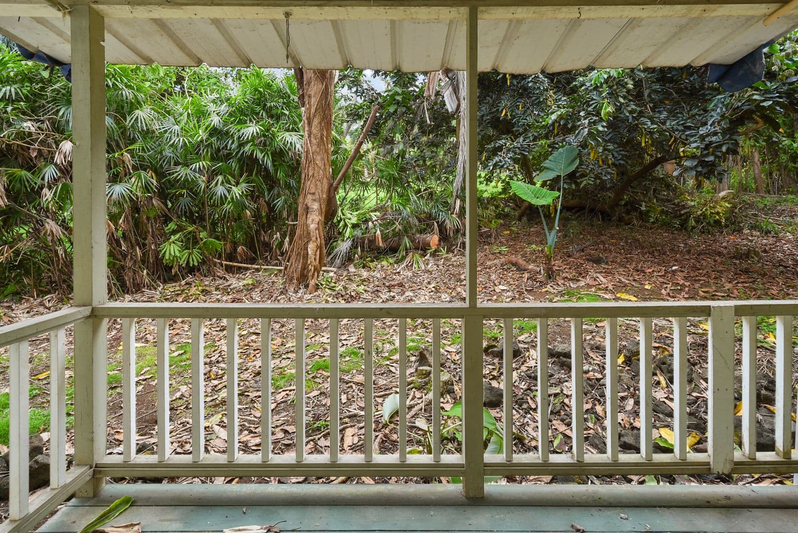 Kealakekua Apartment: 79-973 Kealaola Rd