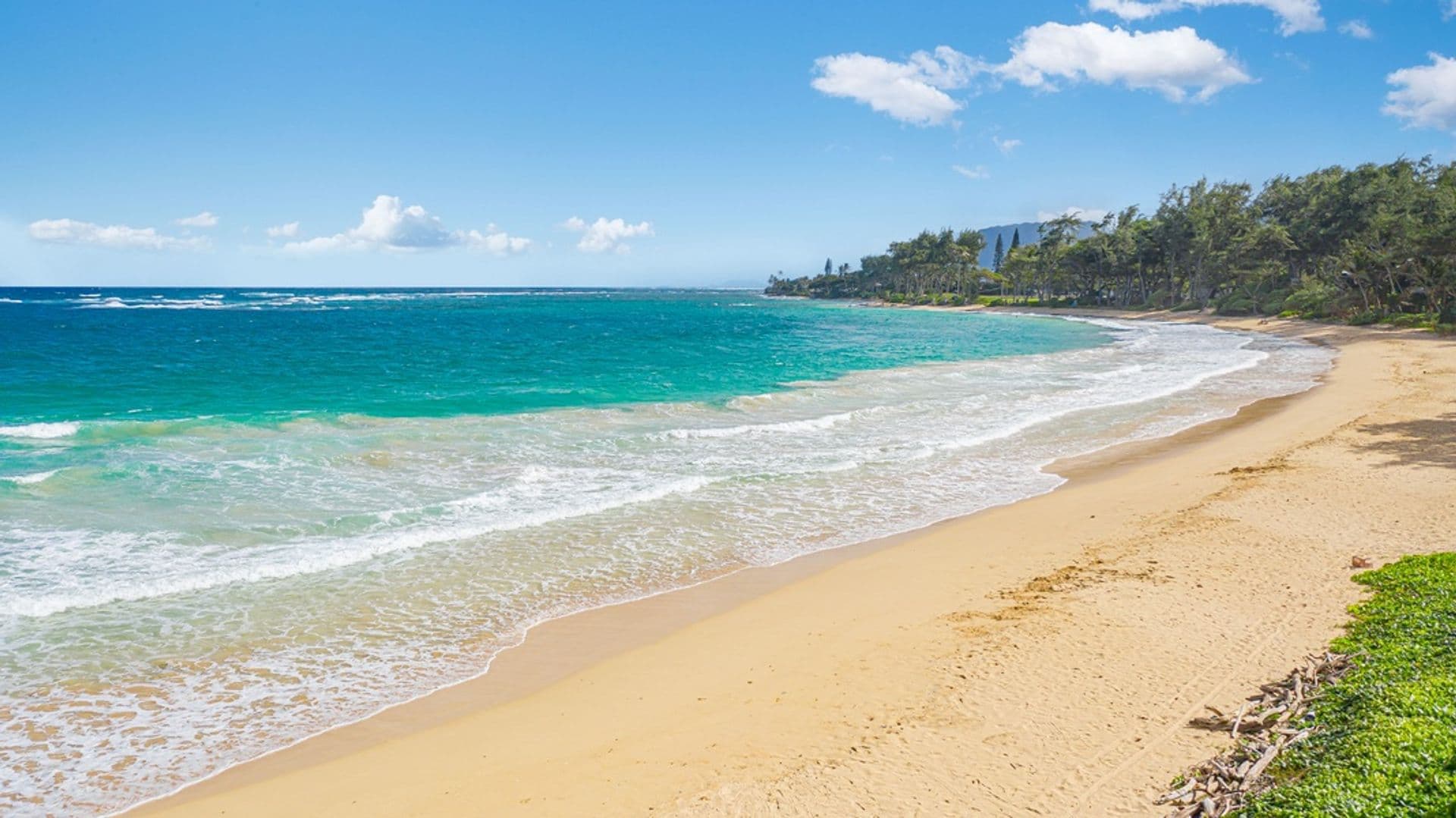 Laie House: 55-137 Kamehameha Highway