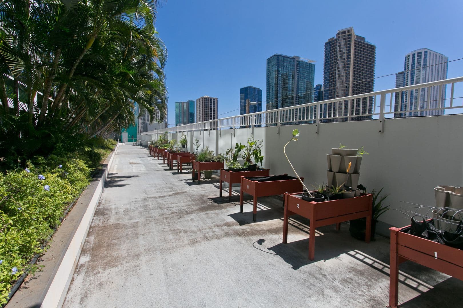 Honolulu Condo: 909 Kapiolani Blvd #2408