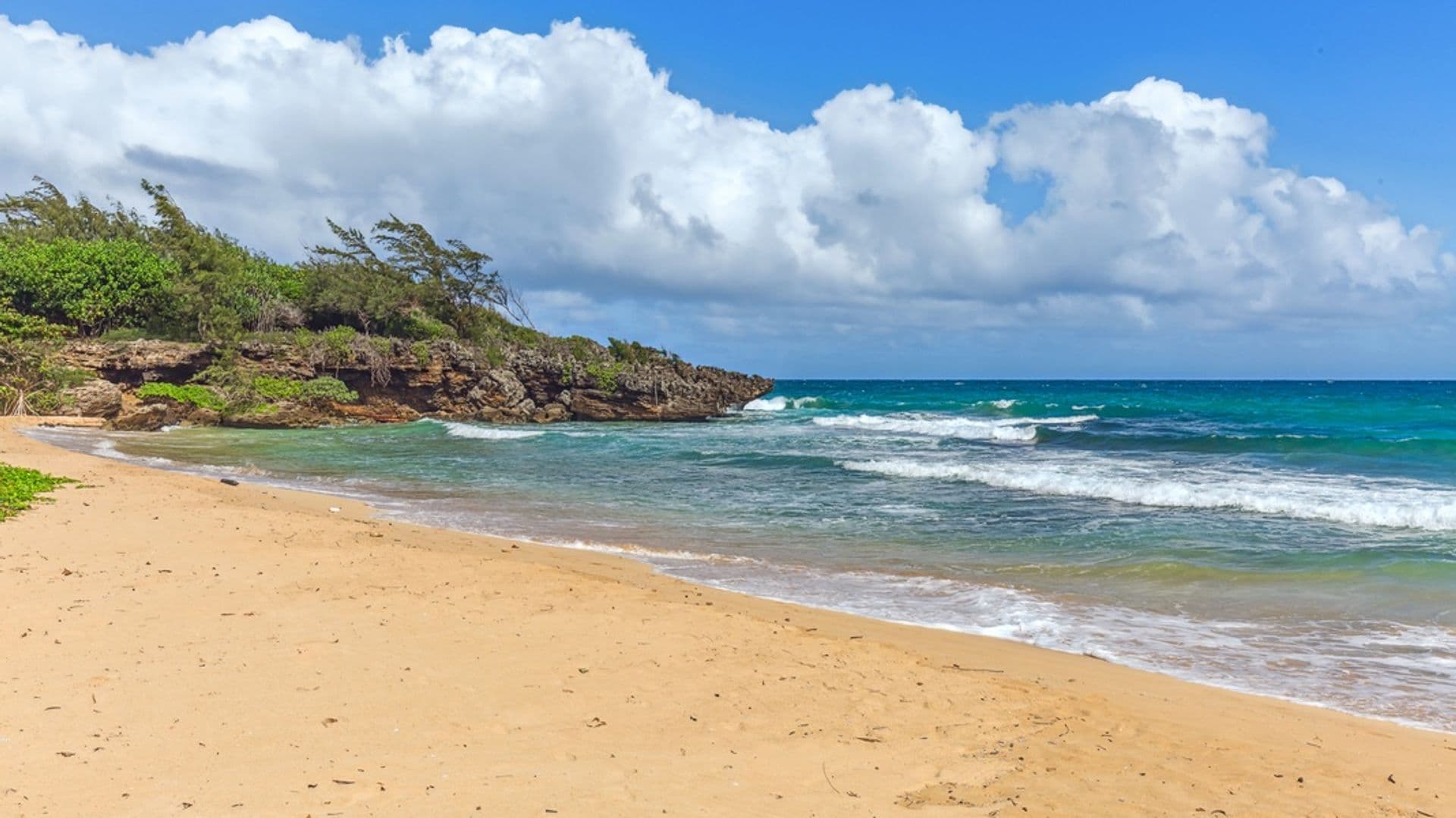 Laie House: 55-137 Kamehameha Highway