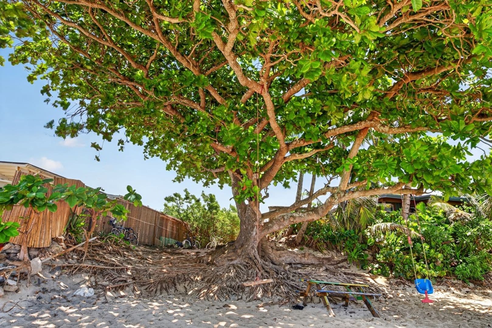 Haleiwa House: 59-60 Huelo Street