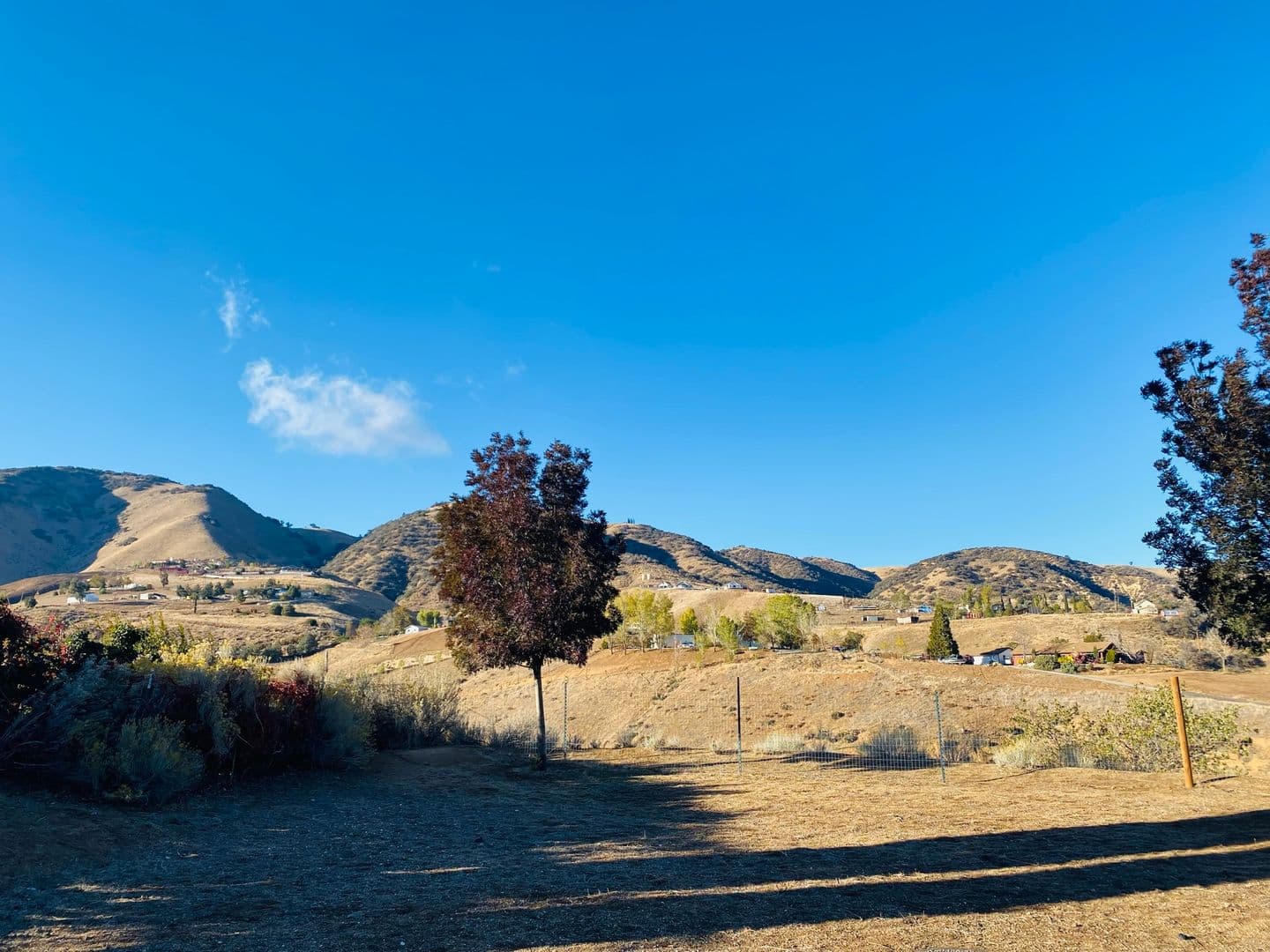LEBEC House: 801 CUDDY CANYON RD