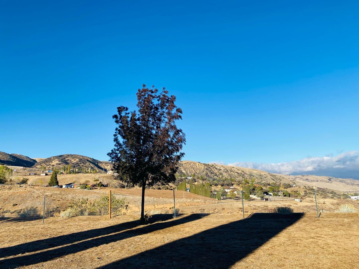 LEBEC House: 801 CUDDY CANYON RD