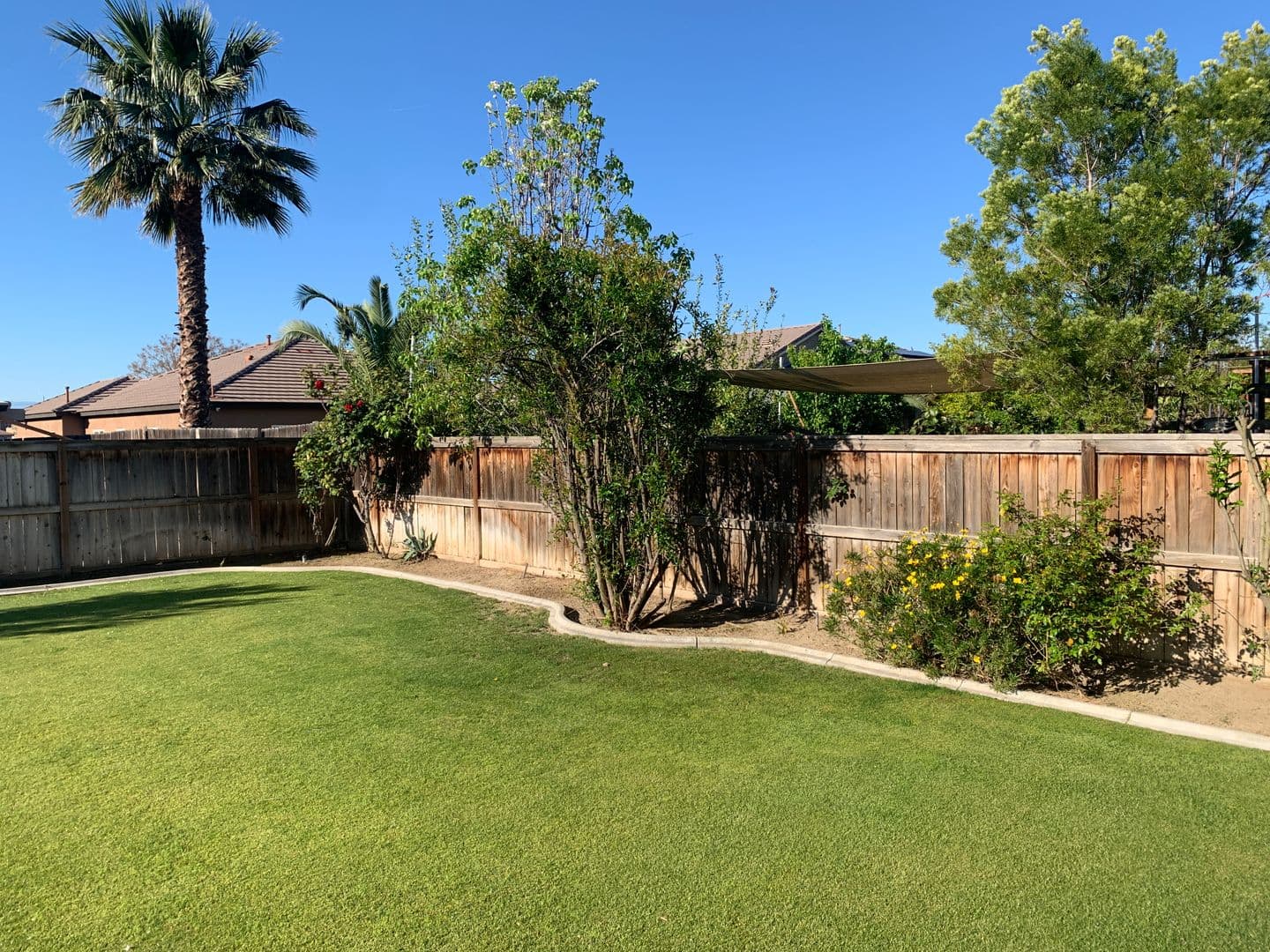 BAKERSFIELD House: 11717 CALIFORNIA POPPY DR