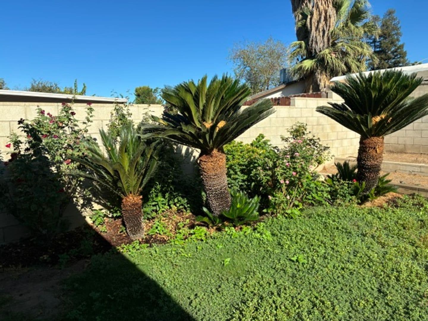 BAKERSFIELD House: 6112 HERB WAY