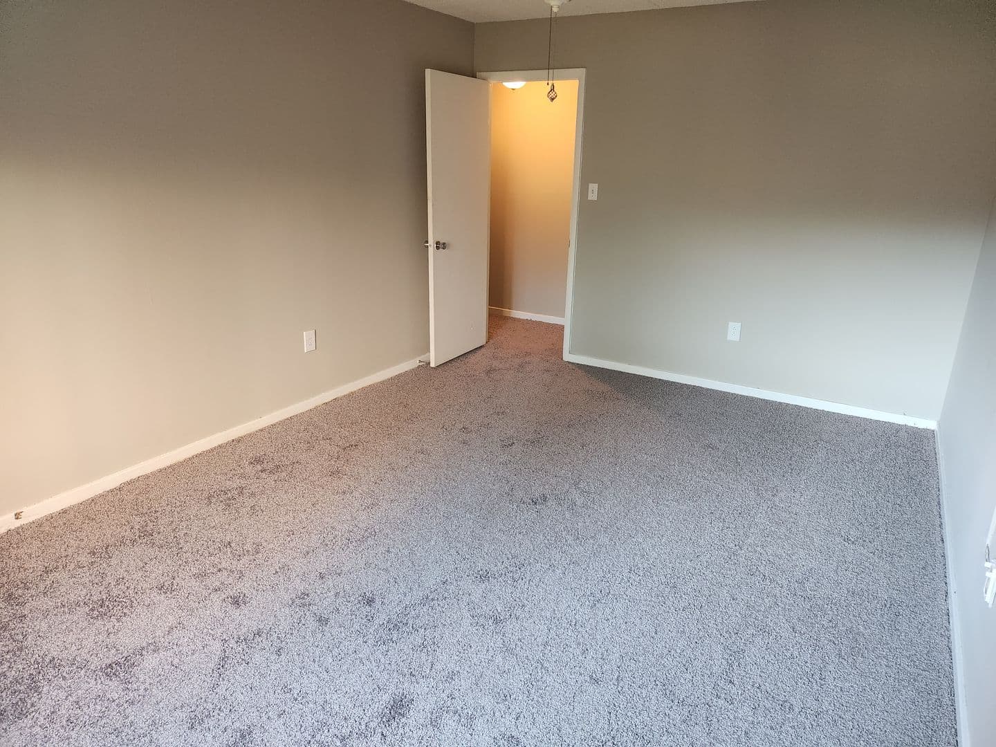 Carnegie Apartment: 834 Washington Avenue