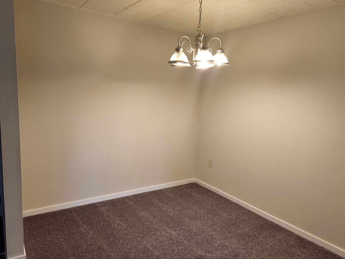 Carnegie Apartment: 834 Washington Avenue