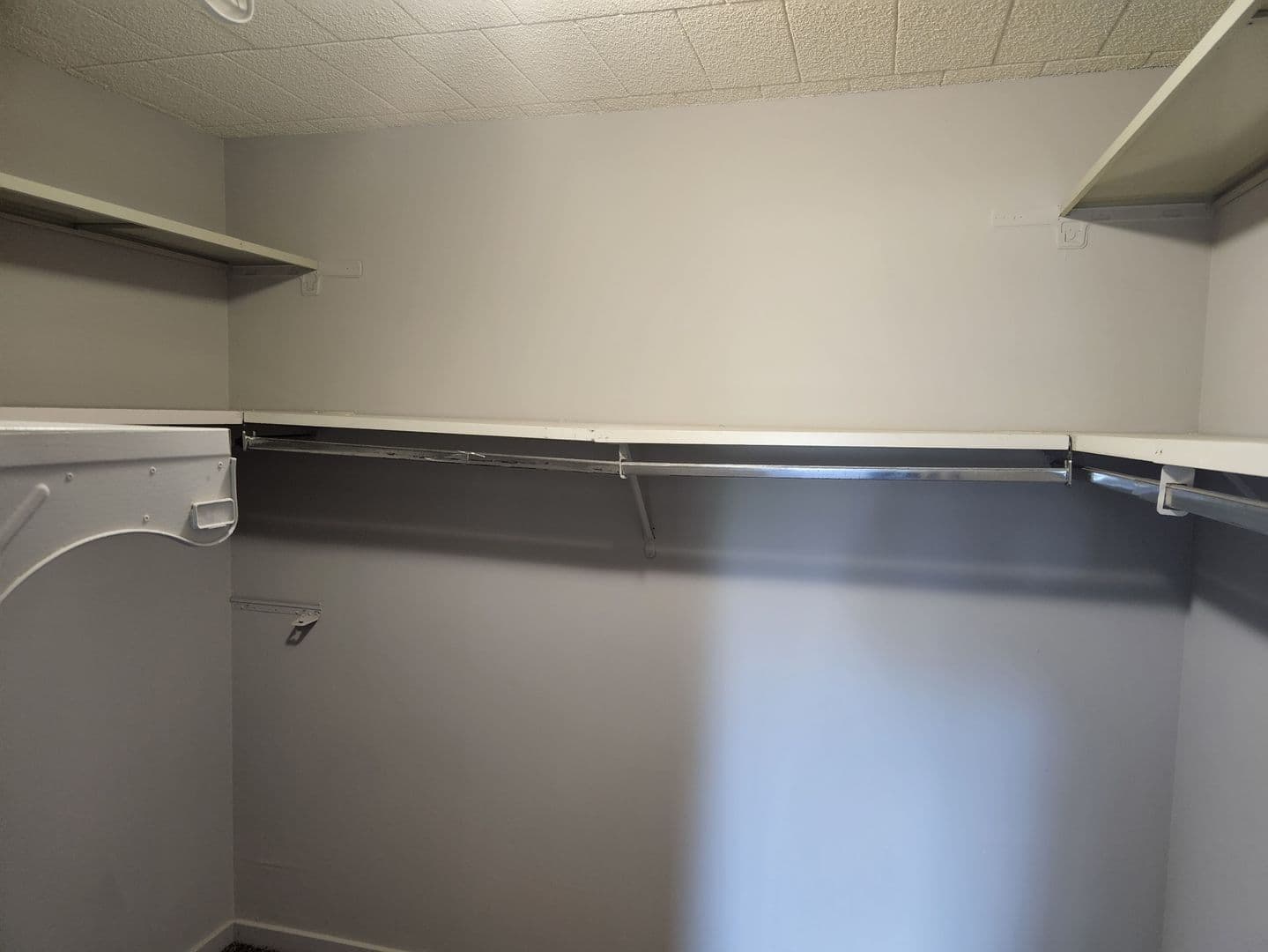 Carnegie Apartment: 834 Washington Avenue