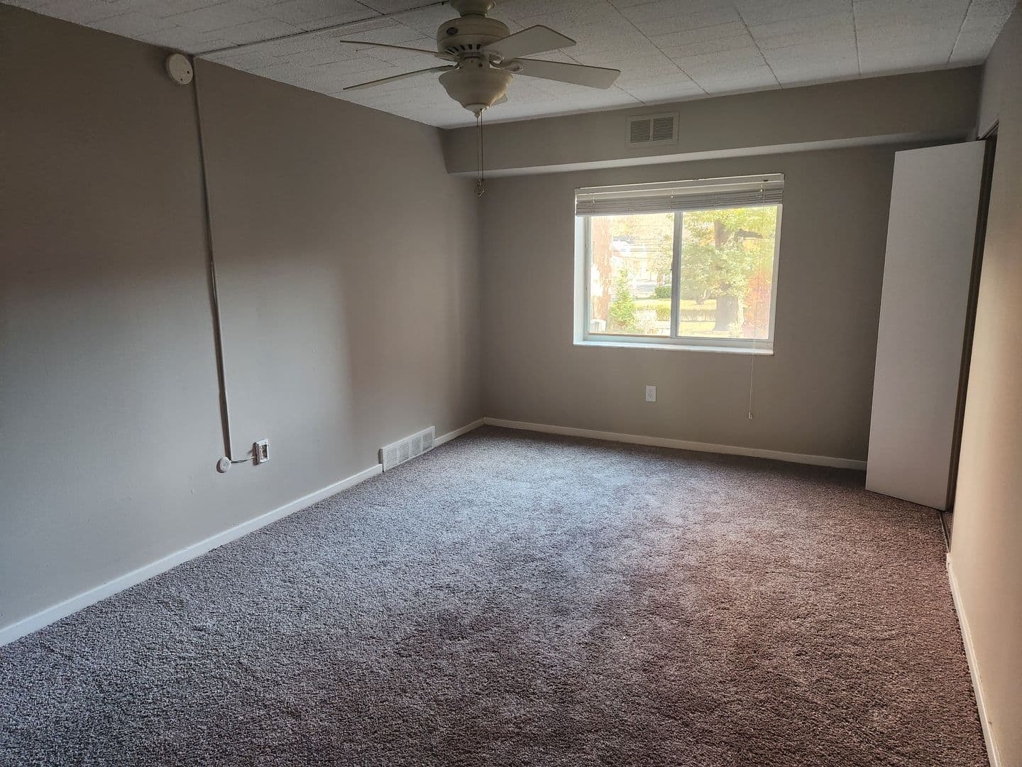 Carnegie Apartment: 834 Washington Avenue