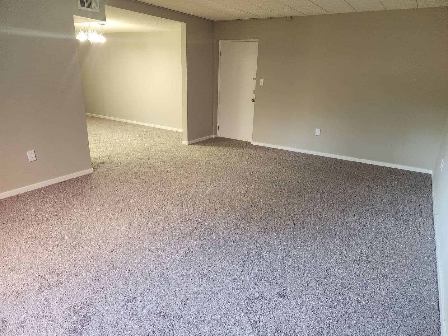 Carnegie Apartment: 834 Washington Avenue