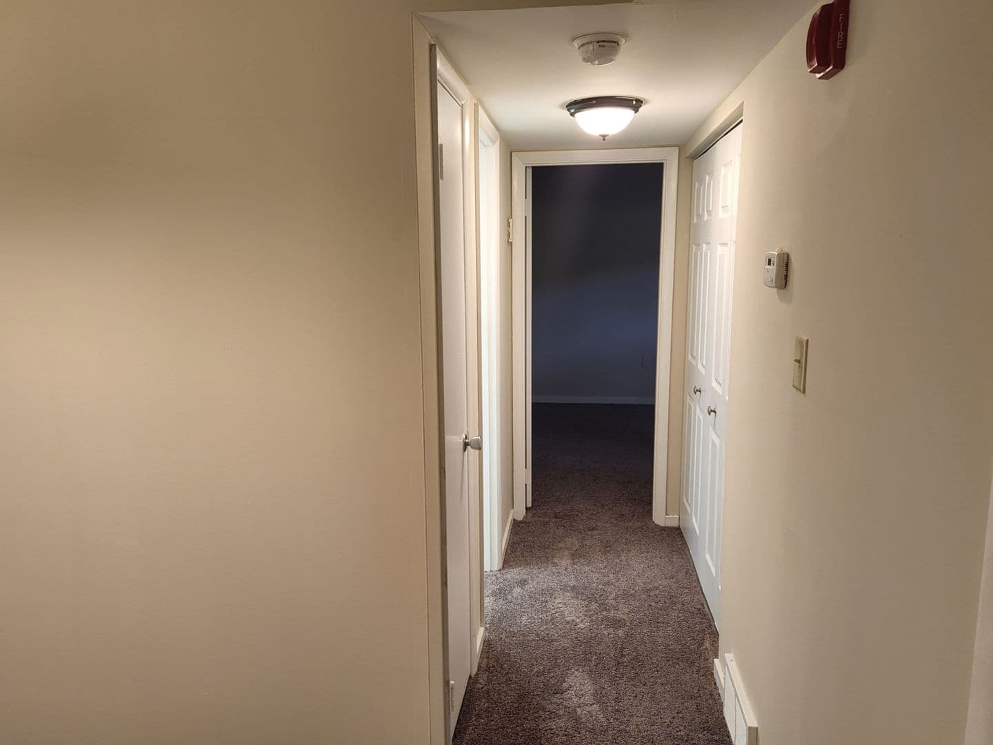 Carnegie Apartment: 834 Washington Avenue