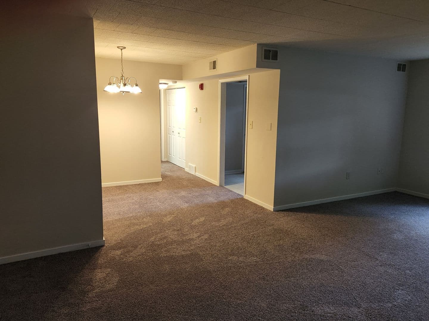 Carnegie Apartment: 834 Washington Avenue