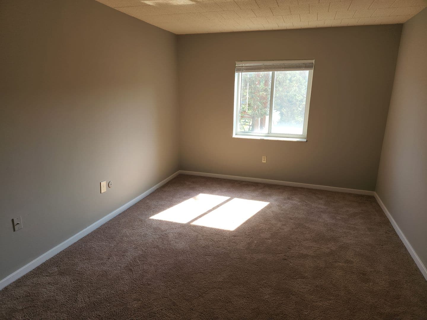 Carnegie Apartment: 834 Washington Avenue