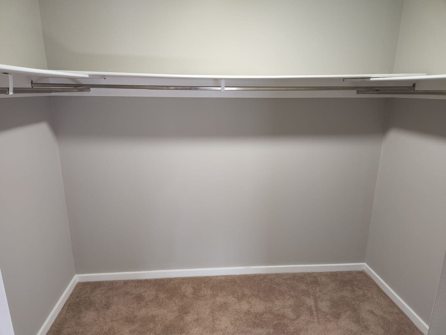 Carnegie Apartment: 834 Washington Avenue