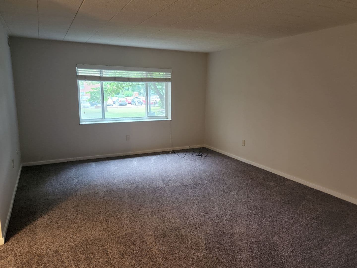 Carnegie Apartment: 834 Washington Avenue