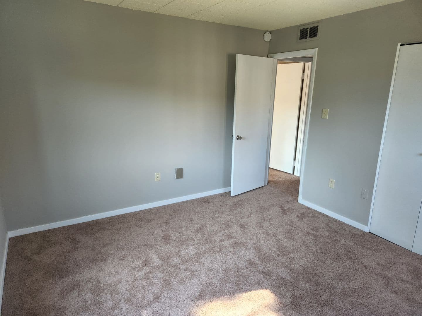 Carnegie Apartment: 834 Washington Avenue