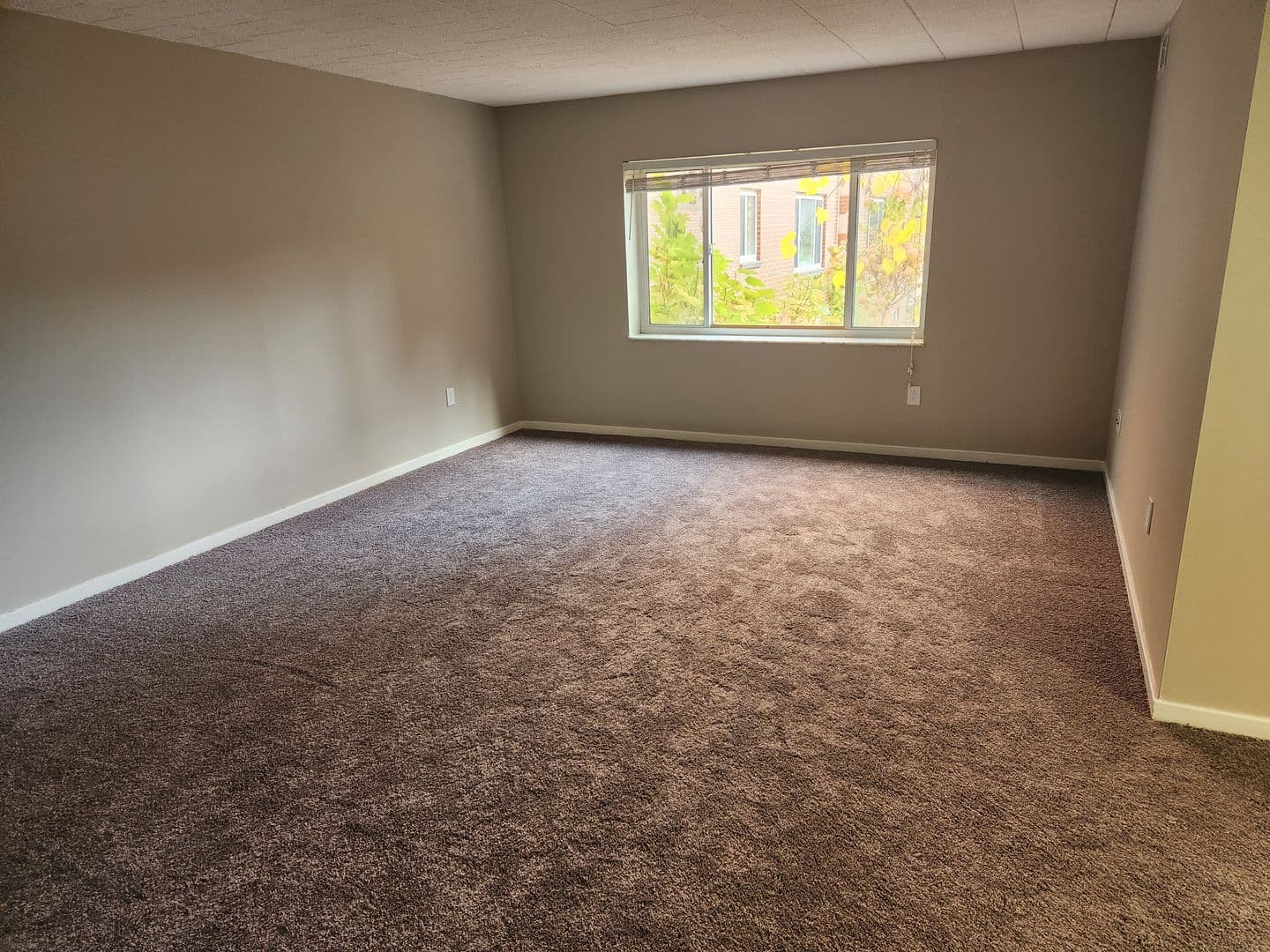 Carnegie Apartment: 834 Washington Avenue