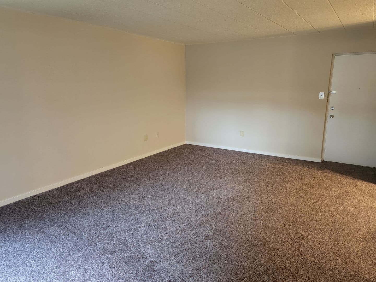 Carnegie Apartment: 834 Washington Avenue