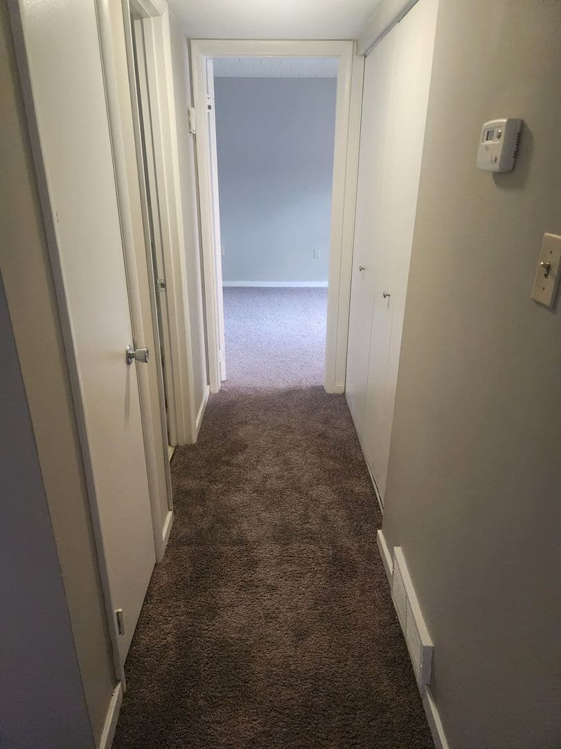 Carnegie Apartment: 834 Washington Avenue