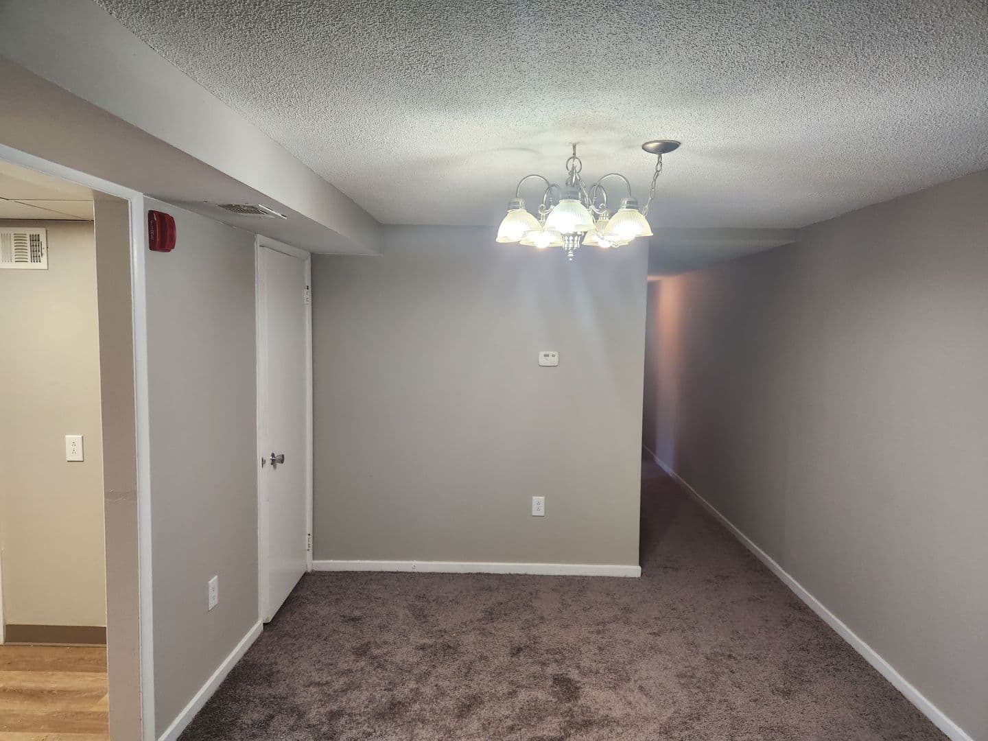 Carnegie Apartment: 834 Washington Avenue