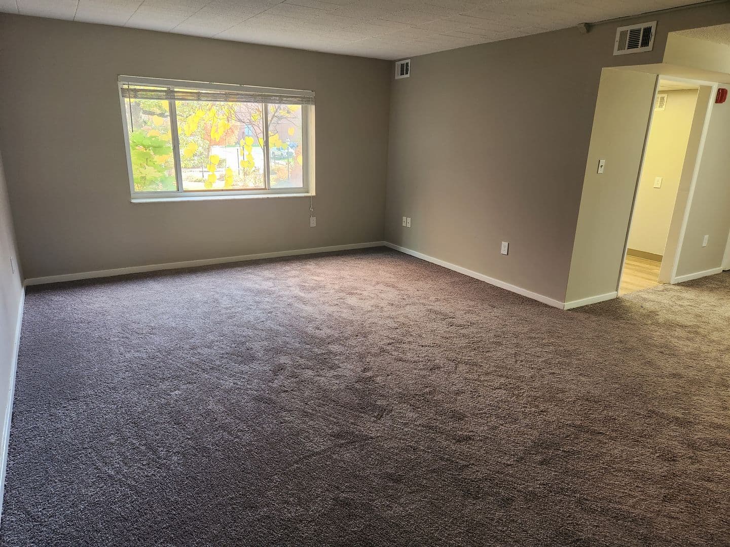 Carnegie Apartment: 834 Washington Avenue