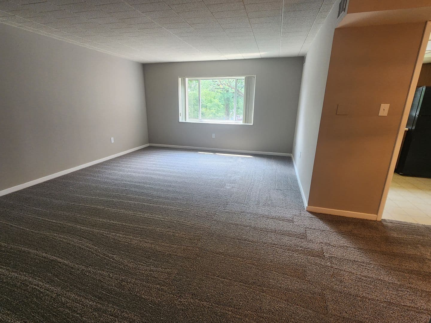 Carnegie Apartment: 834 Washington Avenue