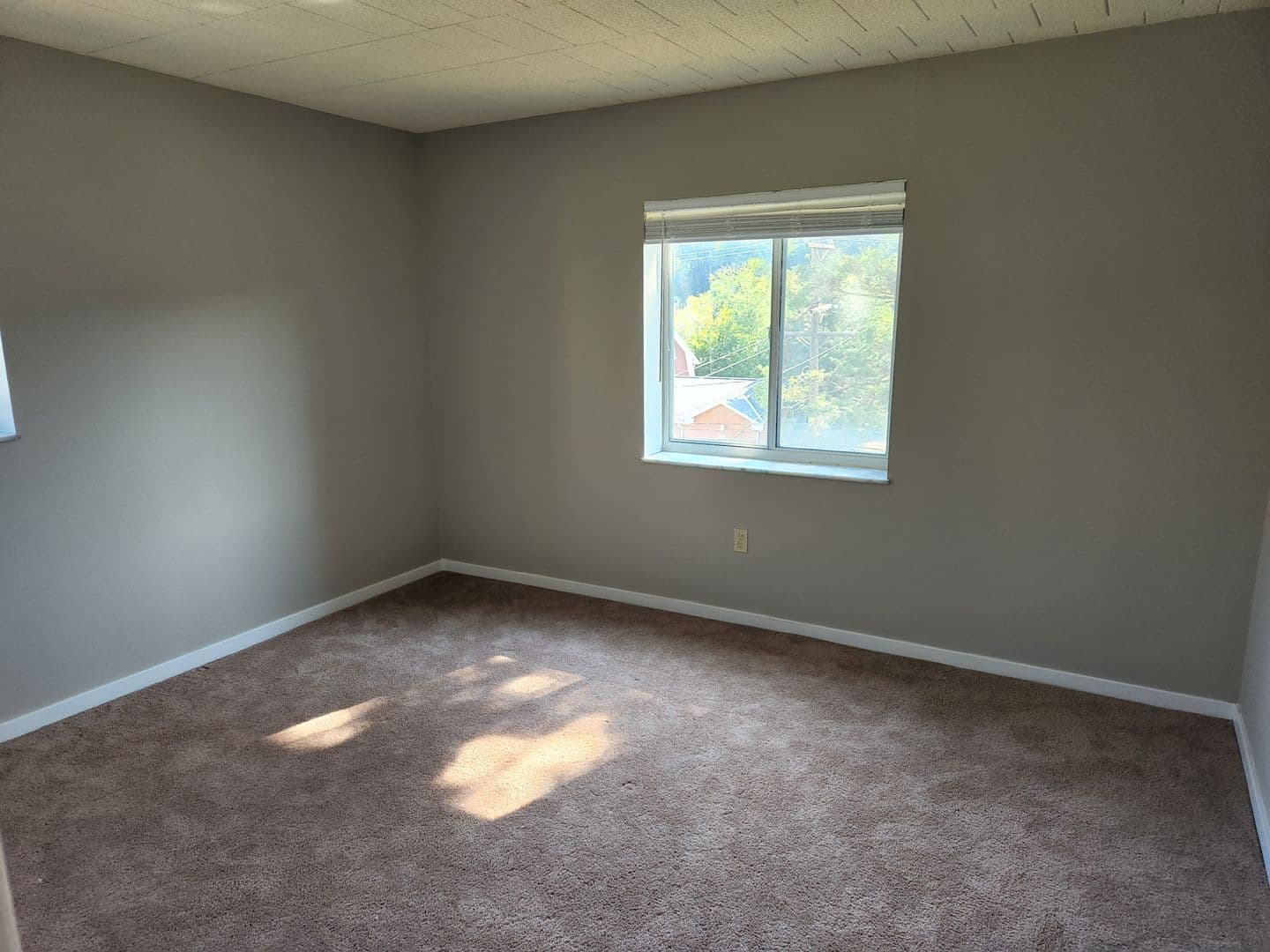 Carnegie Apartment: 834 Washington Avenue