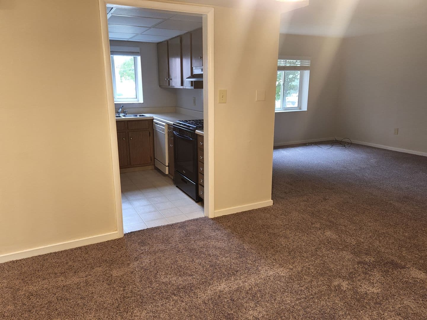 Carnegie Apartment: 834 Washington Avenue