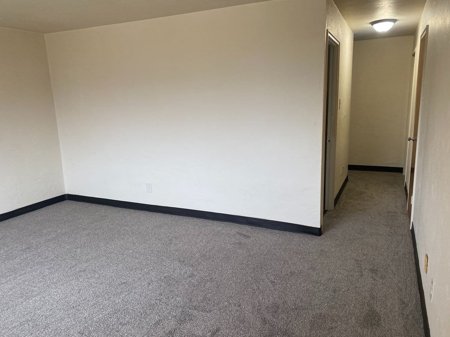 Pittsburgh Apartment: 1661 Skyline Dr