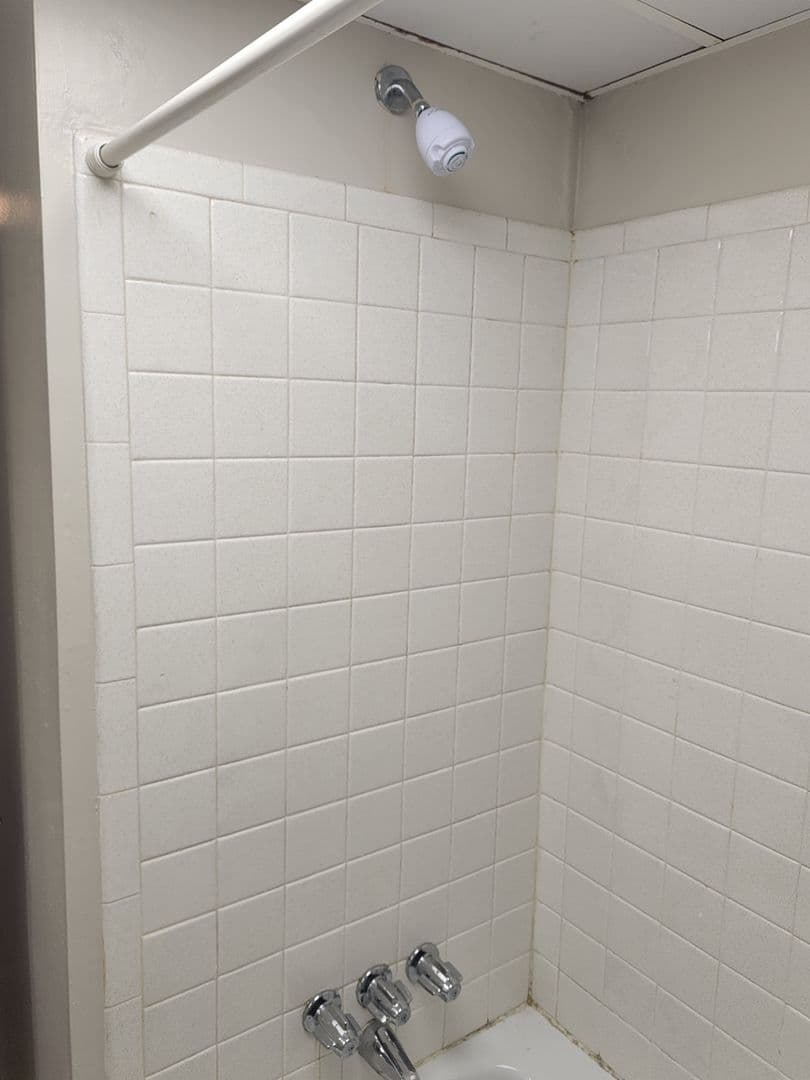 Carnegie Apartment: 834 Washington Avenue