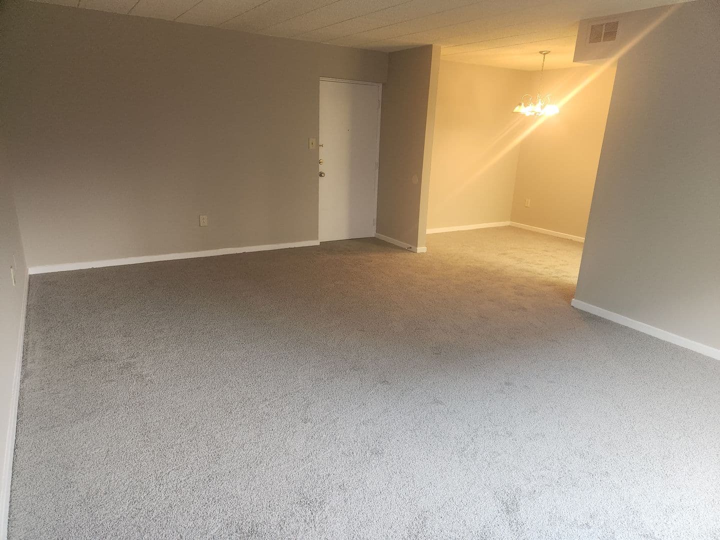 Carnegie Apartment: 834 Washington Avenue