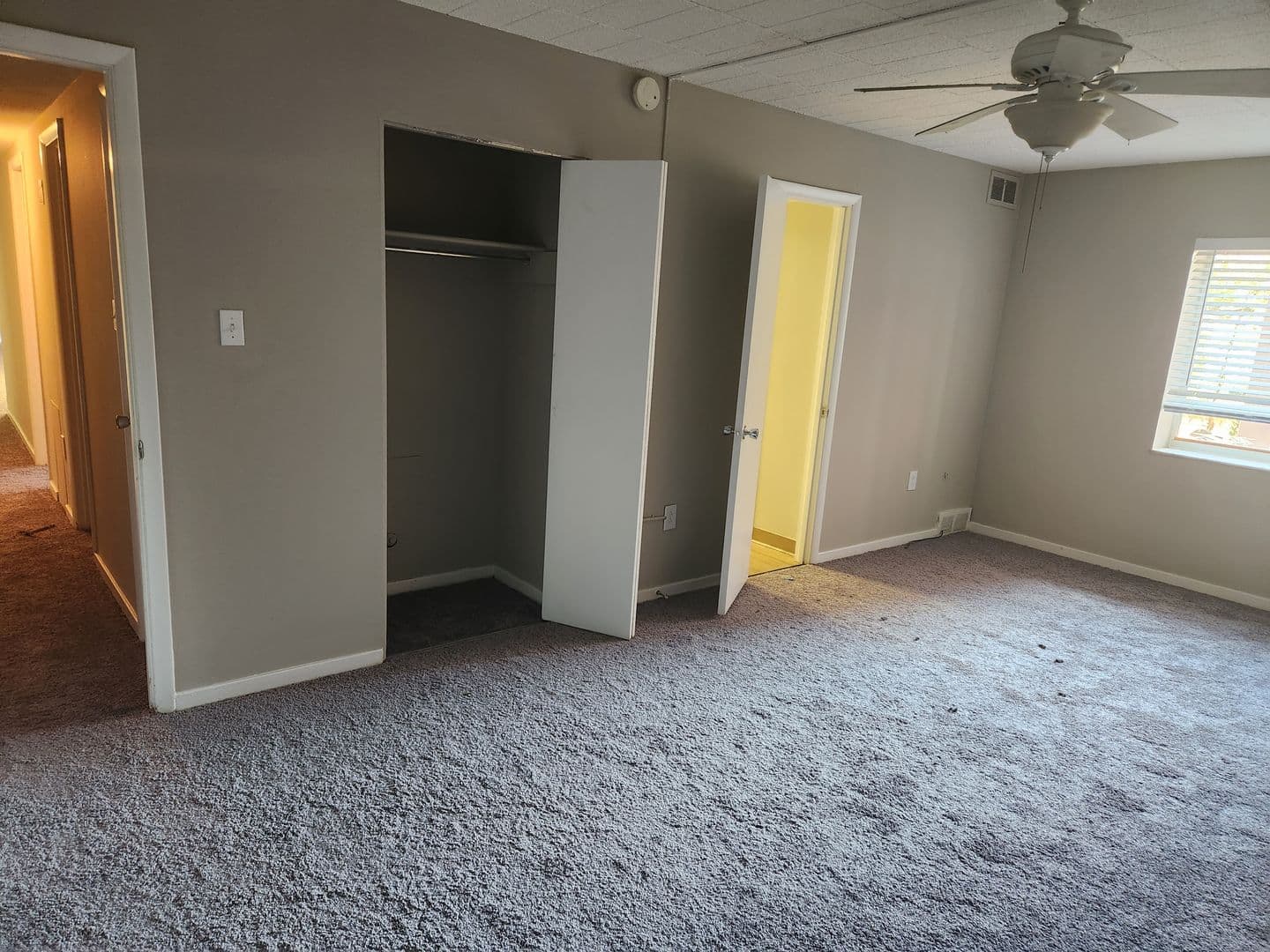 Carnegie Apartment: 834 Washington Avenue