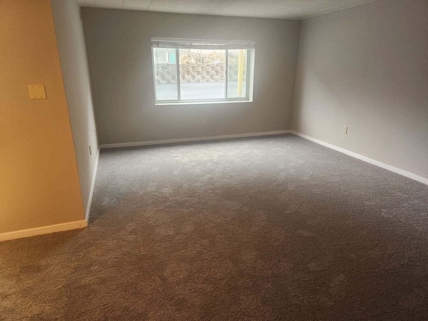 Carnegie Apartment: 834 Washington Avenue