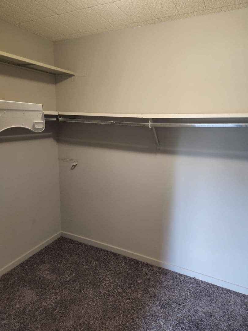 Carnegie Apartment: 834 Washington Avenue