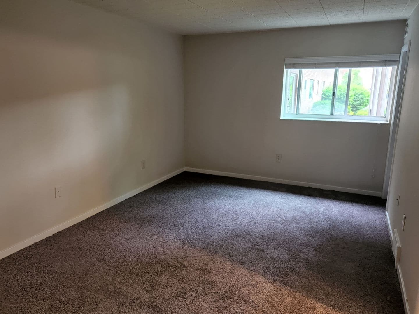 Carnegie Apartment: 834 Washington Avenue