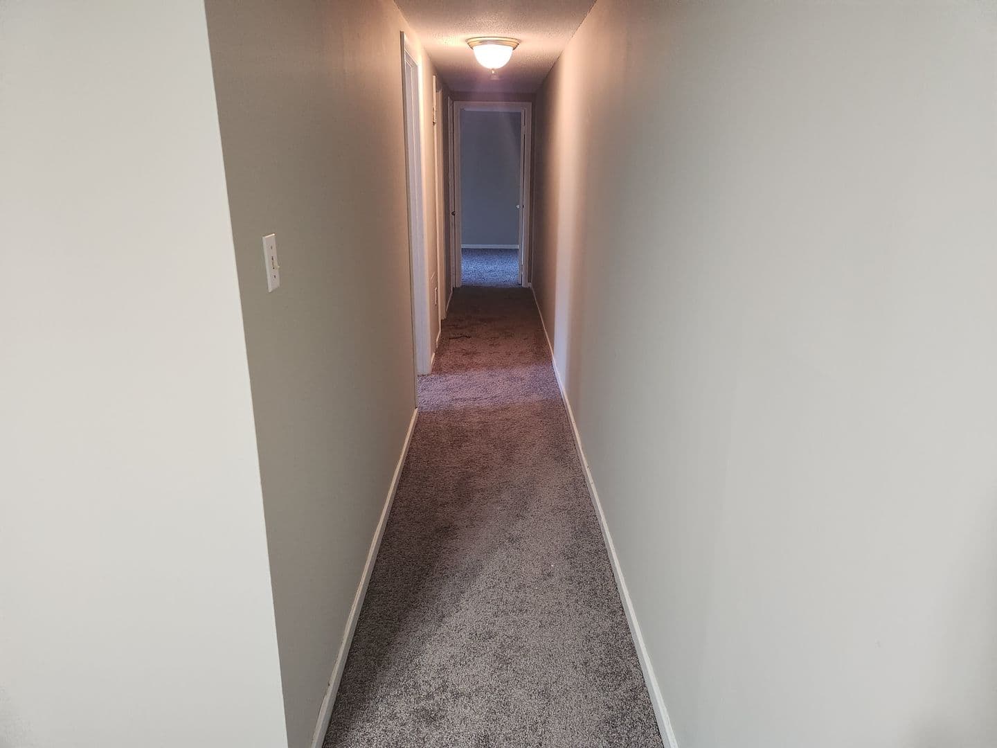 Carnegie Apartment: 834 Washington Avenue