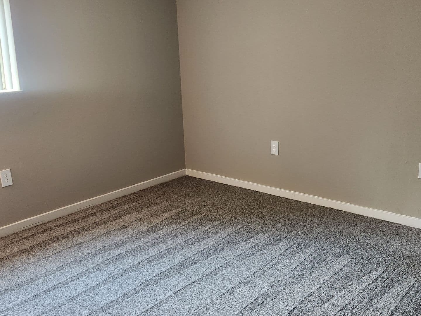 Carnegie Apartment: 834 Washington Avenue