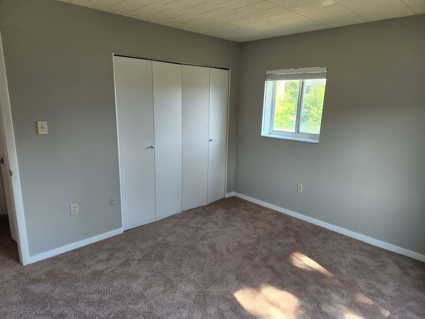 Carnegie Apartment: 834 Washington Avenue