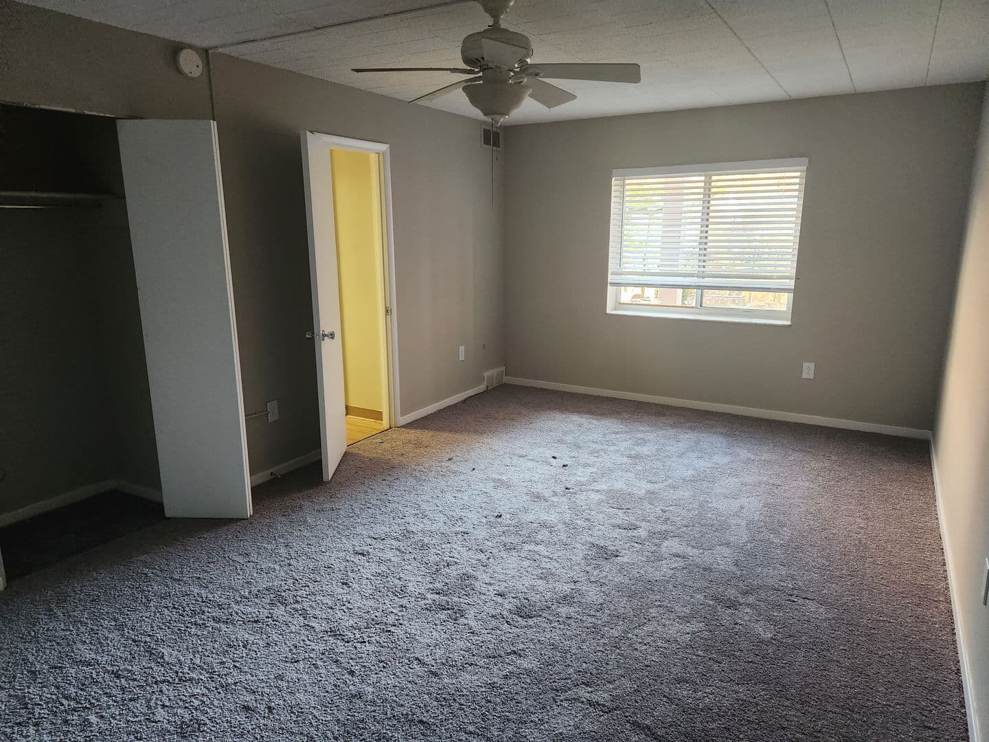 Carnegie Apartment: 834 Washington Avenue