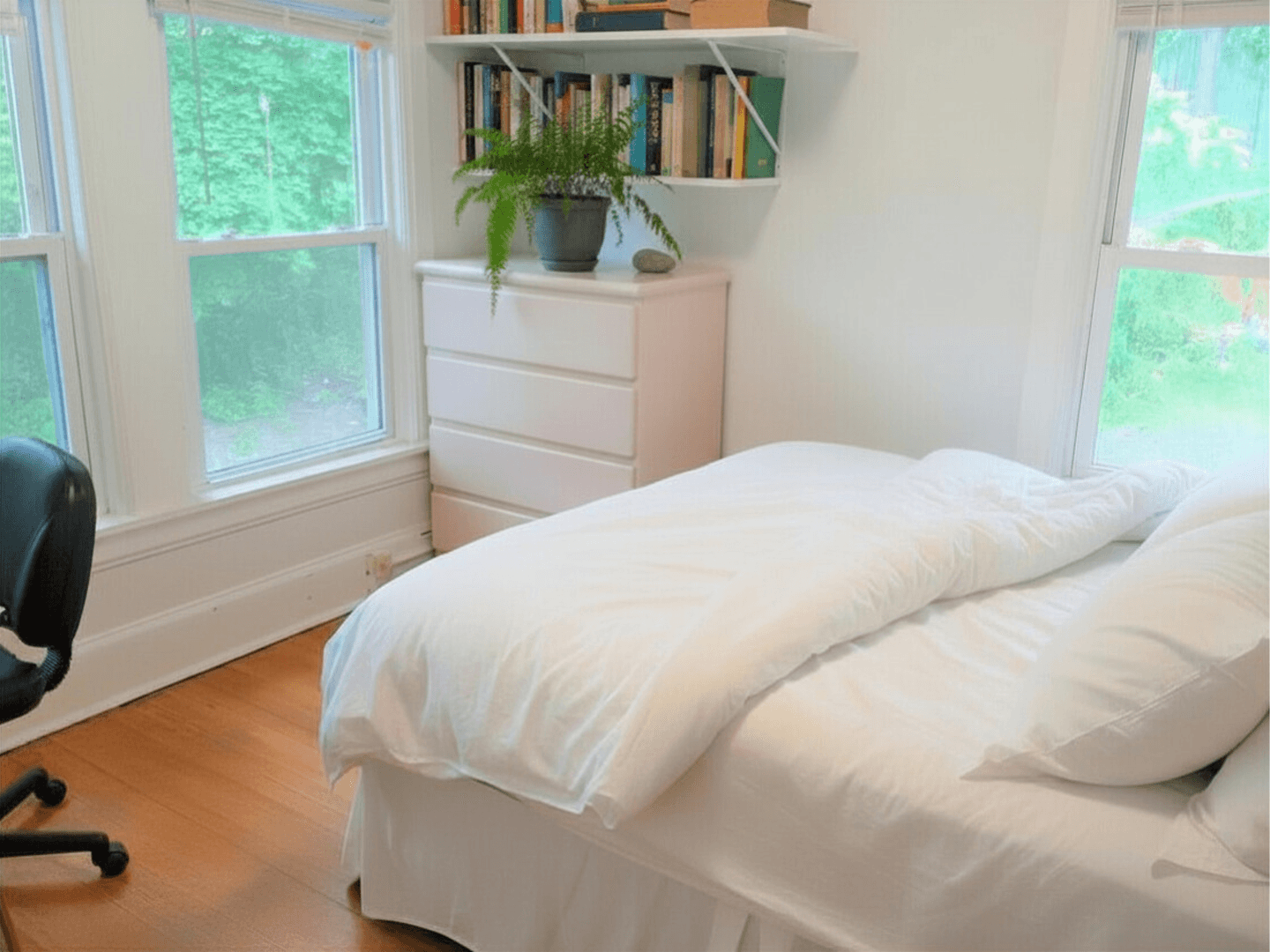 Ithaca Apartment: 123 Columbia Street