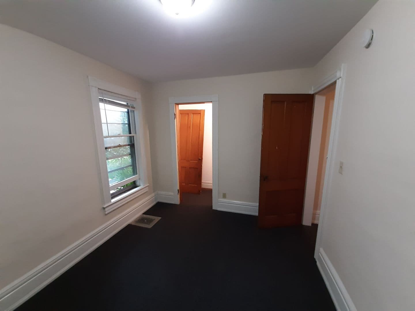Ithaca Apartment: 107-109 Hudson St