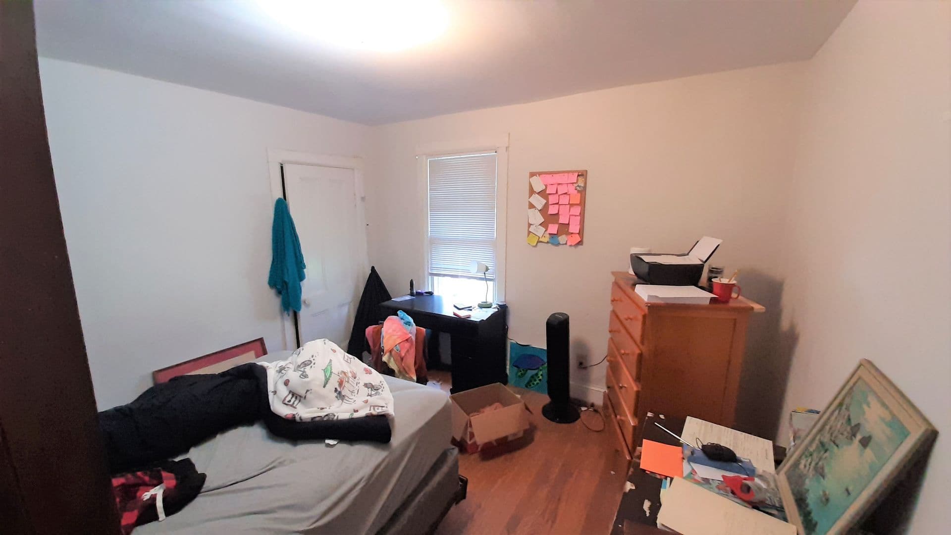 Ithaca Apartment: 119-121 Prospect St