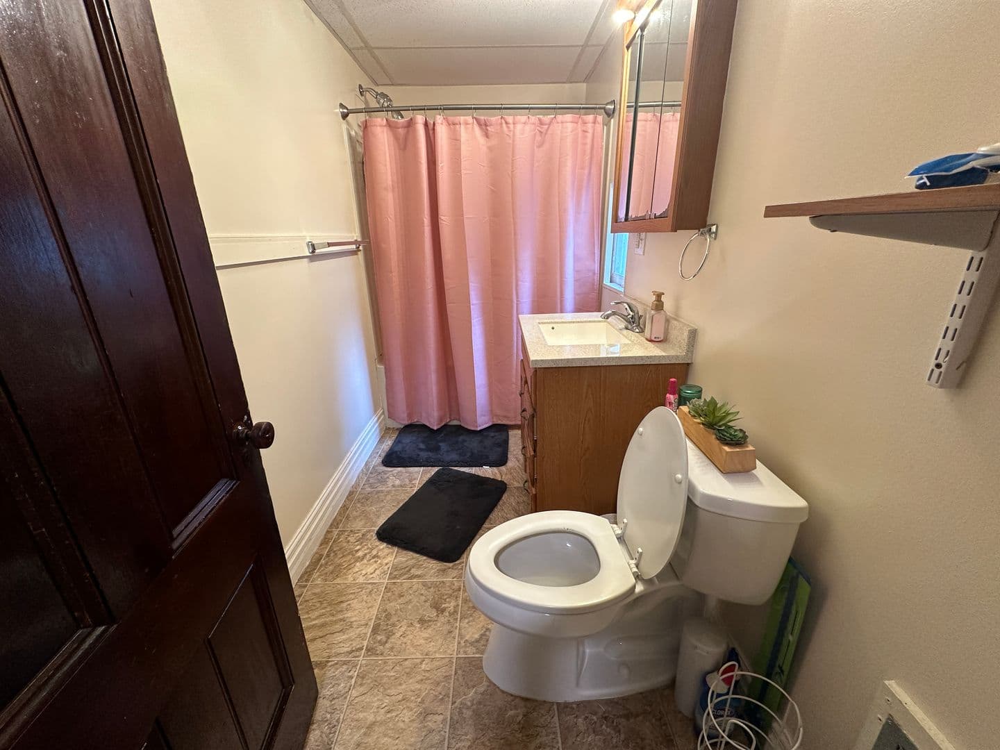 Ithaca Apartment: 108 - 110 Hudson St