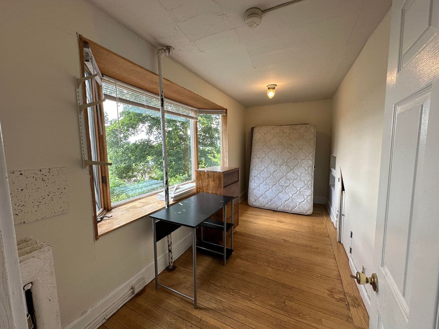 Ithaca Apartment: 708 E Seneca St