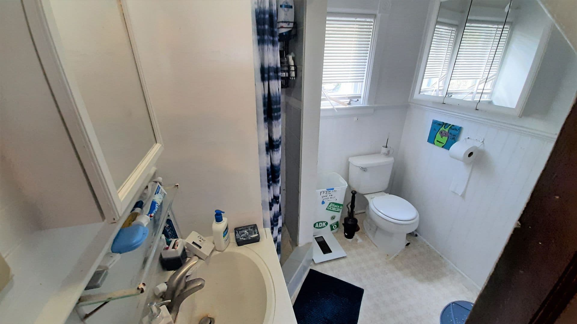 Ithaca Apartment: 119-121 Prospect St