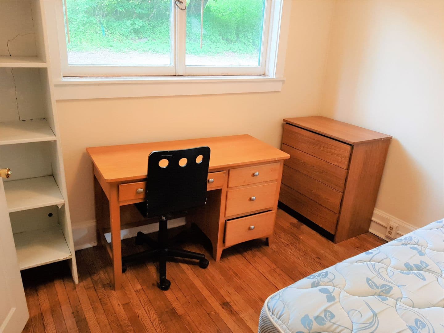 Ithaca Apartment: 123 Columbia Street