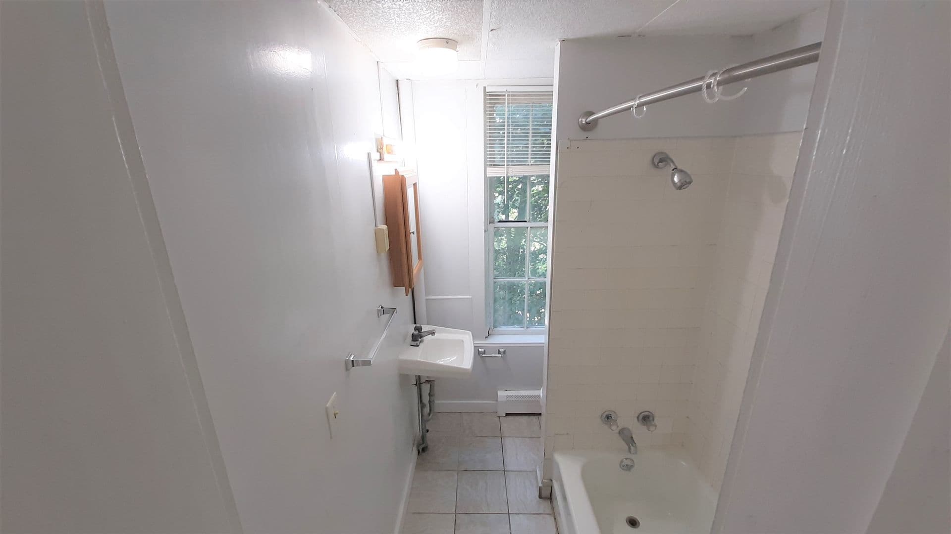 Ithaca Apartment: 105 Hudson Street
