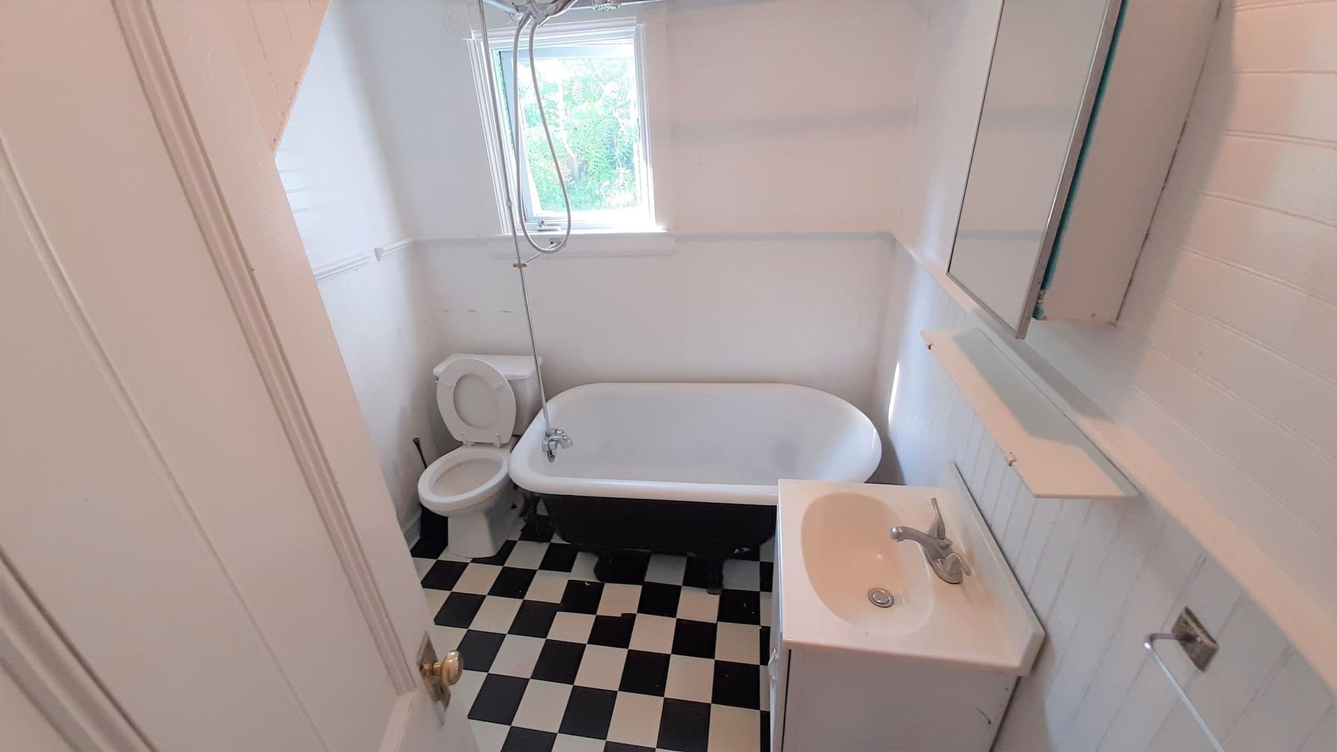 Ithaca Apartment: 119-121 Prospect St