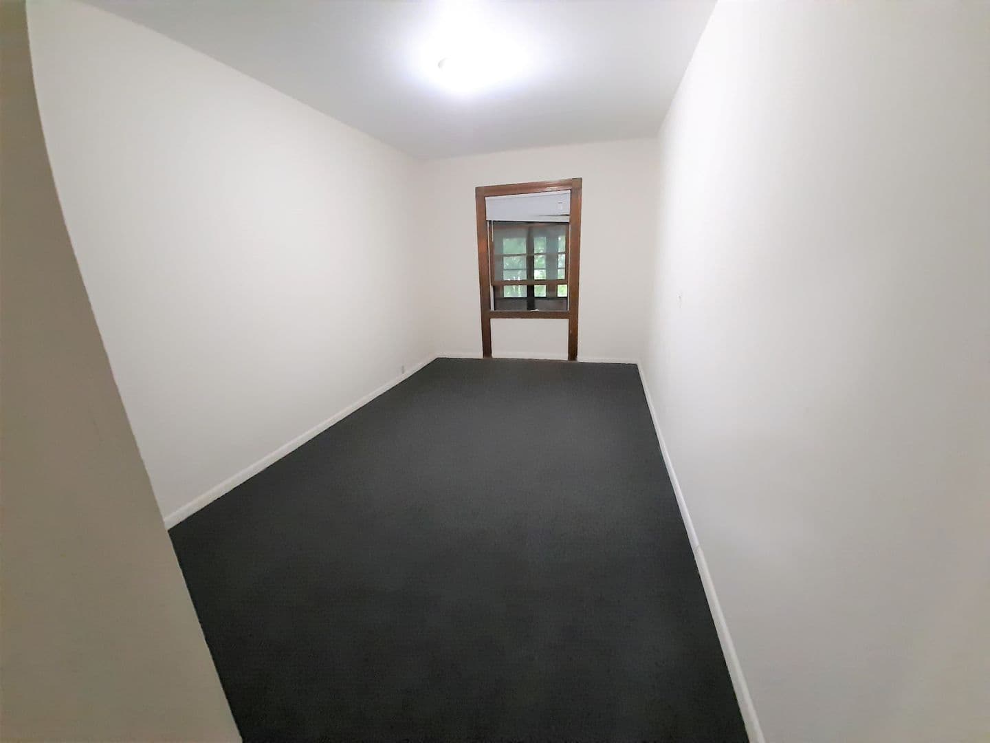 Ithaca Apartment: 107-109 Hudson St