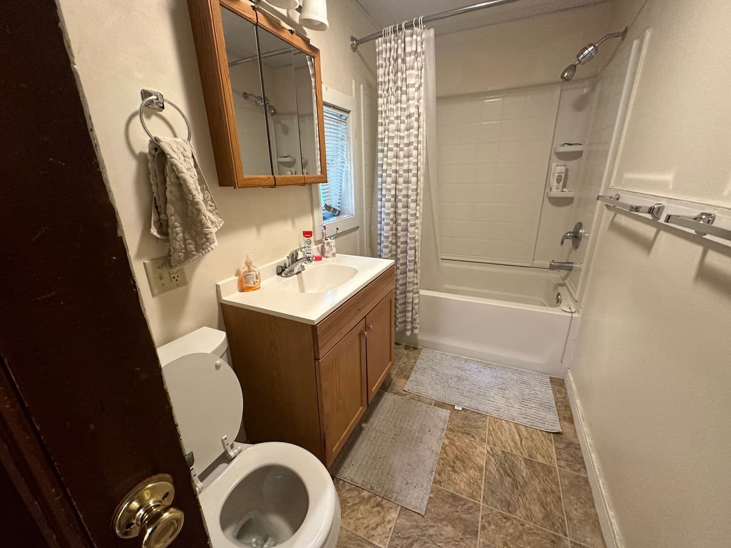 Ithaca Apartment: 108 - 110 Hudson St